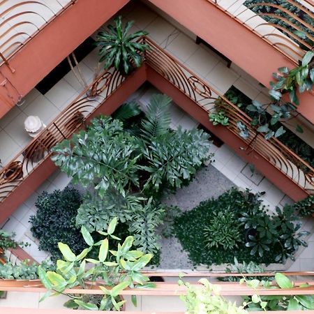 Hotel Martell San Pedro Sula Exterior foto